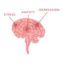 stress.png
